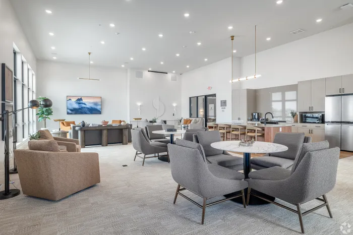 Spacious and inviting open-concept lounge with modern seating, a sleek kitchen area, and abundant natural light from large windows.