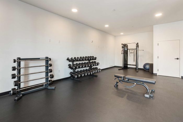Free Weights