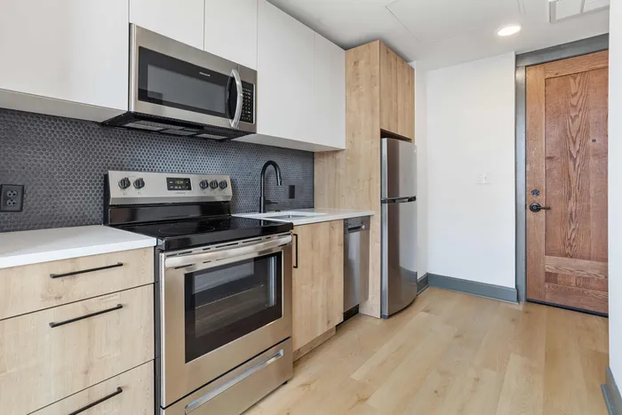 Modern Kitchen Cabinetry