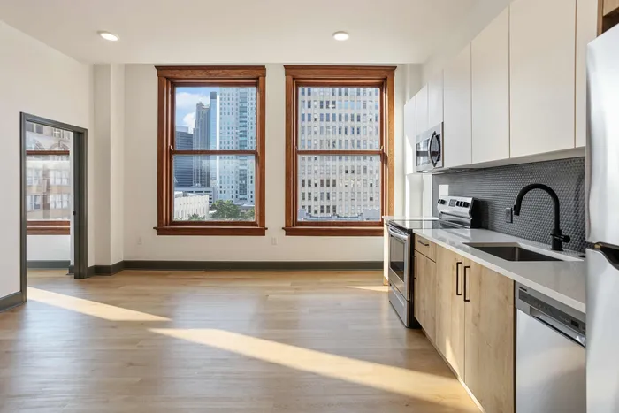 Extra Large Windows