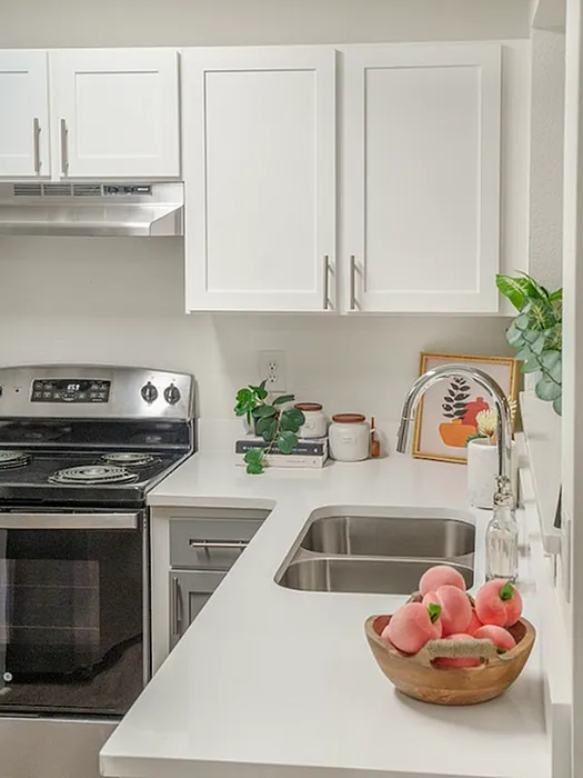 Bright apartment kitchen with white cabinets and stainless steel appliances at The Lodge of Athens