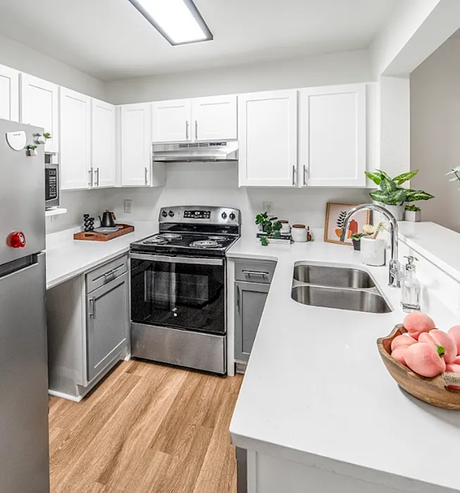 Modern kitchen with stainless steel appliances at The Lodge of Athens student apartments