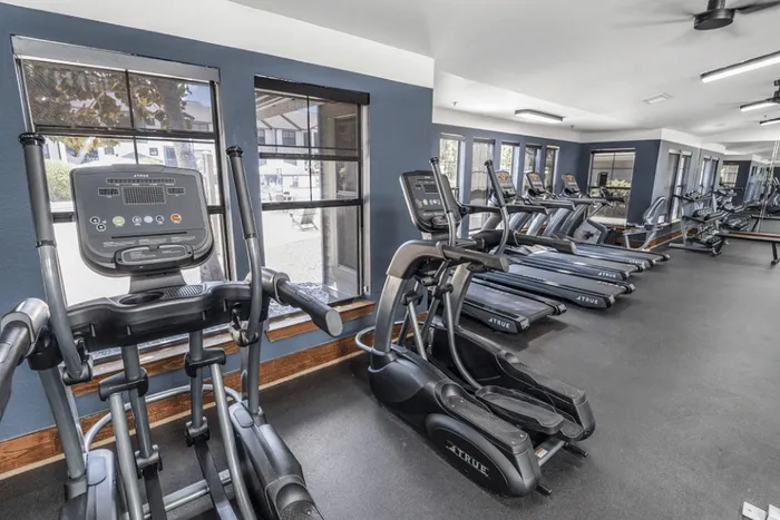 Cardio equipment including ellipticals and treadmills at The Lodge of Athens fitness center