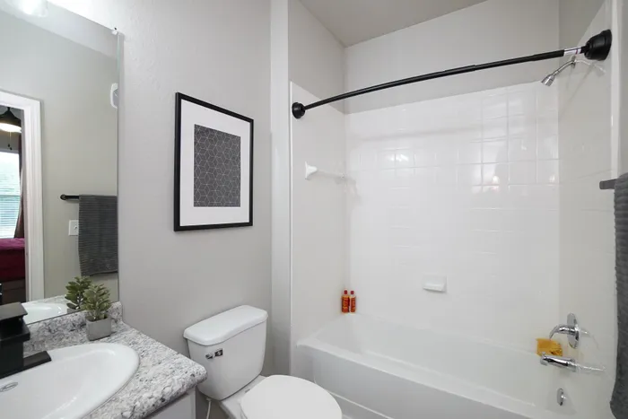 Elegant bathroom with sleek granite countertop, stylish artwork, and modern fixtures, offering a luxurious and refreshing atmosphere.