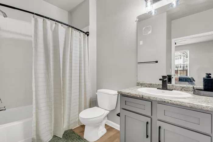 Modern bathroom featuring sleek fixtures, granite countertop, and a serene gray color scheme.
