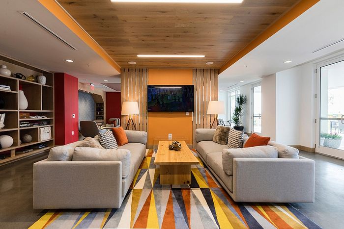 Contemporary living room with stylish gray sofas, vibrant geometric rug, and warm wooden accents, perfect for relaxation and entertainment.