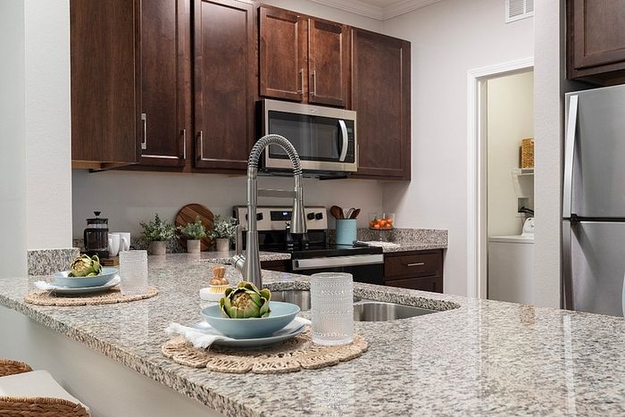 Modern kitchen with granite countertops, stainless steel appliances, and elegant dark wood cabinetry.