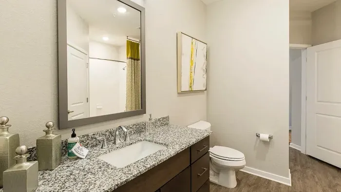 lake nona ariel