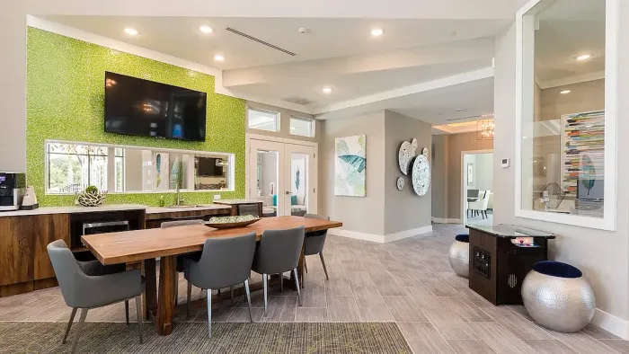 lake nona ariel