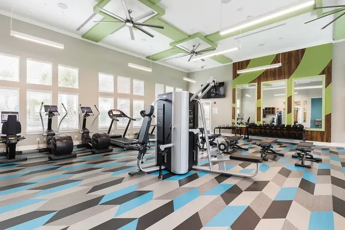 lake nona ariel