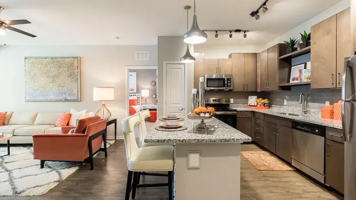 lake nona ariel
