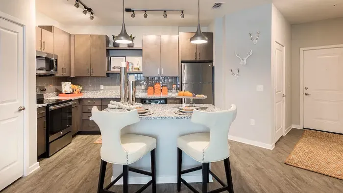 lake nona ariel