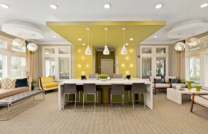 lake nona ariel