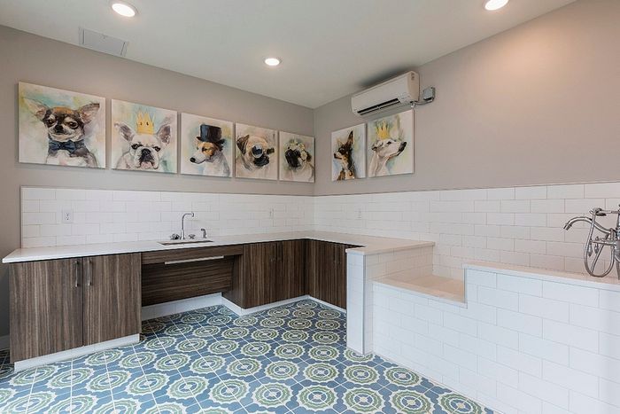 Charming kitchen nook with artistic dog portraits, featuring stylish cabinetry and vibrant geometric flooring.