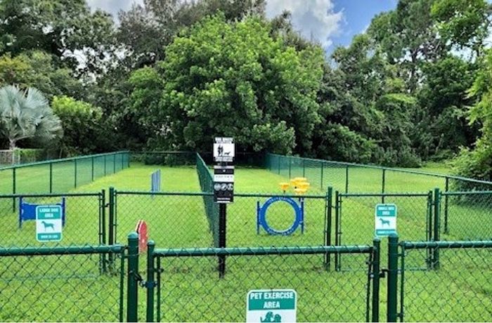 Charming pet exercise area with agility equipment, surrounded by lush greenery and blue skies.
