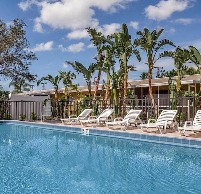 Inviting outdoor swimming pool with sun loungers surrounded by lush tropical palms, perfect for relaxing under clear blue skies.