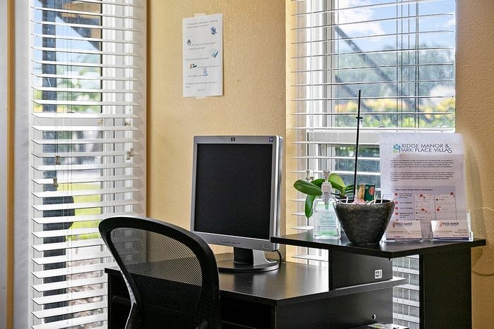 Chic home office with a sleek black desk, modern monitor, and lush greenery by sunlit windows with white blinds.