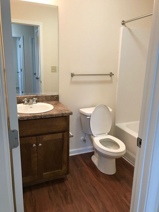 Inviting bathroom featuring elegant wood flooring, a sleek countertop, and pristine fixtures, offering modern comfort and style.