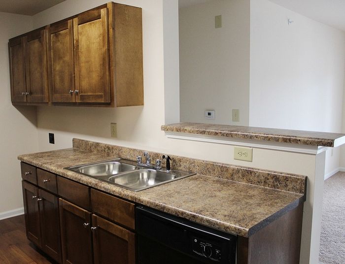 Elegant kitchen with polished marble countertops, double sink, and rich wood cabinetry in a modern apartment.