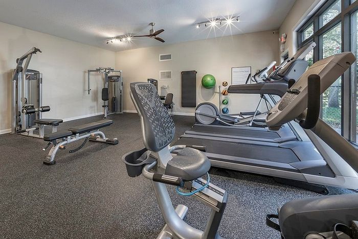 Modern fitness center featuring advanced exercise equipment, treadmills, and a serene outdoor view for an invigorating workout experience.