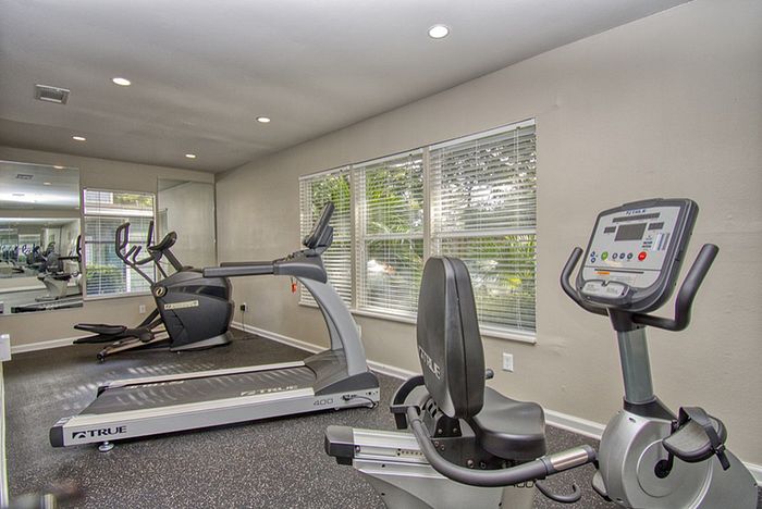 Bright and modern fitness room with state-of-the-art exercise equipment set against large windows for natural light.