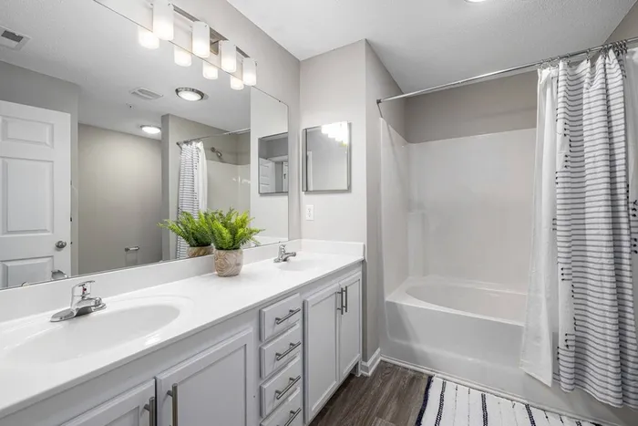 Bathroom with dual vanity