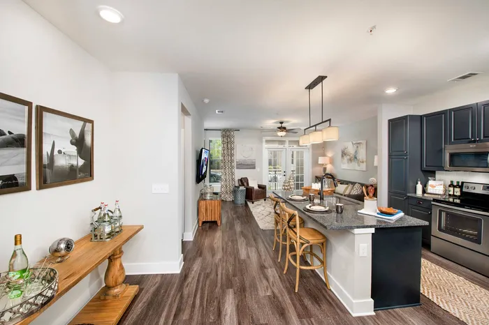 furnished kitchen and living area of apartment
