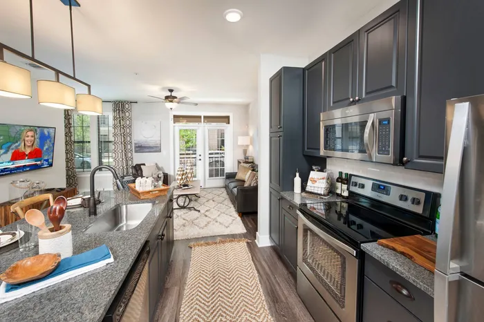 furnished kitchen and living area of apartment