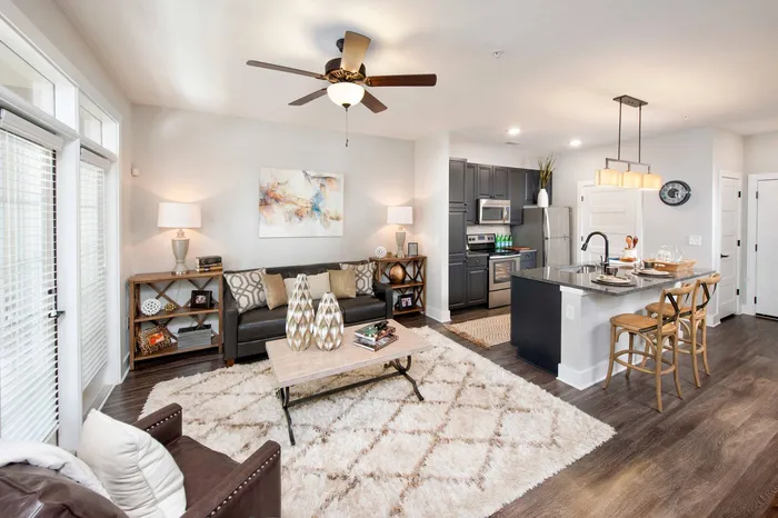 furnished living are and kitchen of apartment
