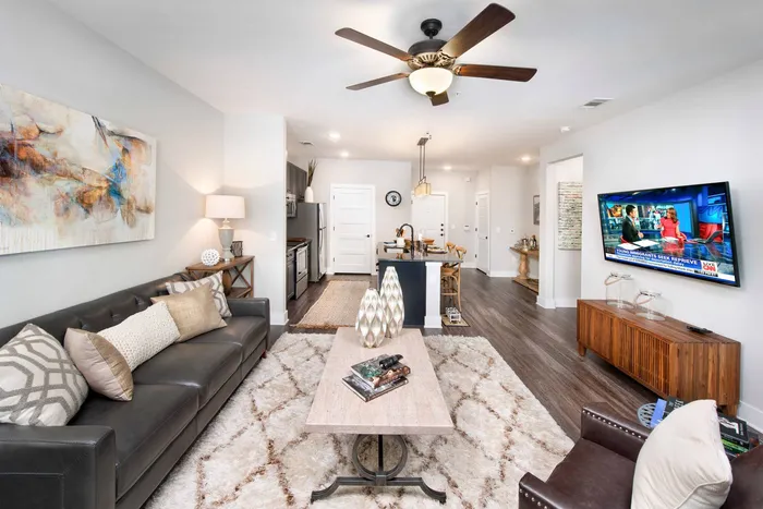 furnished living are and kitchen of apartment