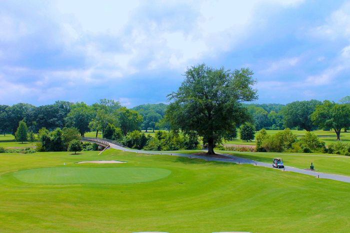 outdoor golf course in daytime