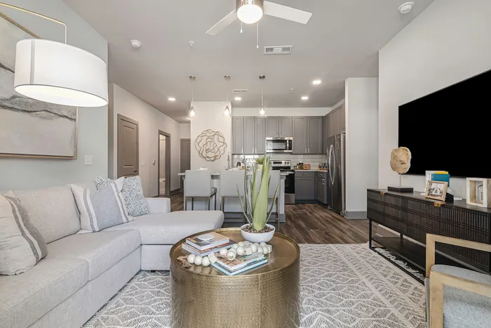 furnished living and kitchen area in apartment