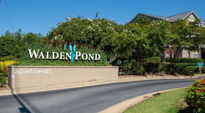 exterior monument sign and trees on sunny day