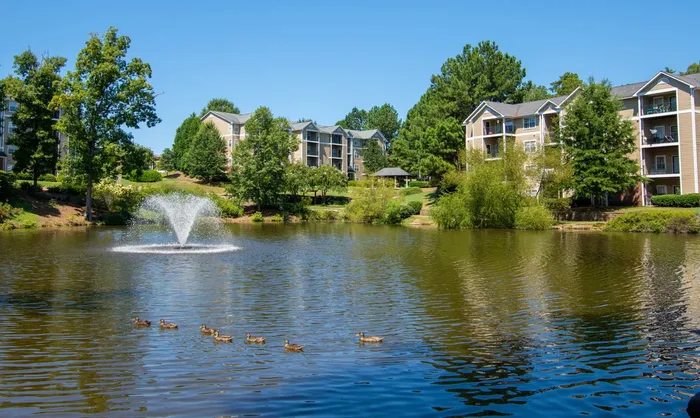 lake with water feature on sunny day