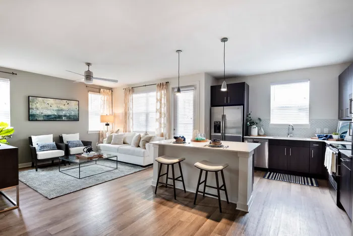 furnished kitchen and living area of apartment