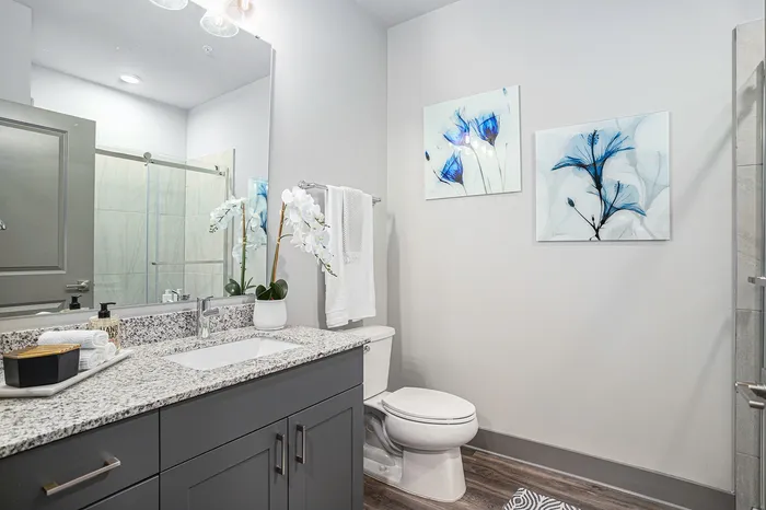 Furnished bathroom with large vanity