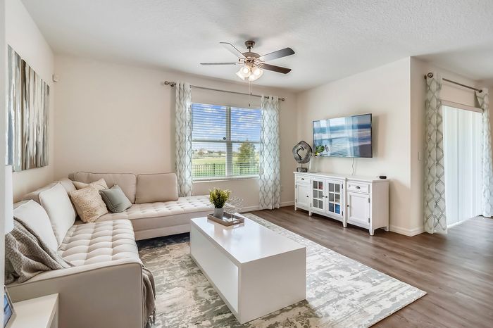 furnished living area in sofa and television in home