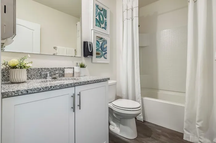 furnished bathroom with countertop, tub and toilet in home