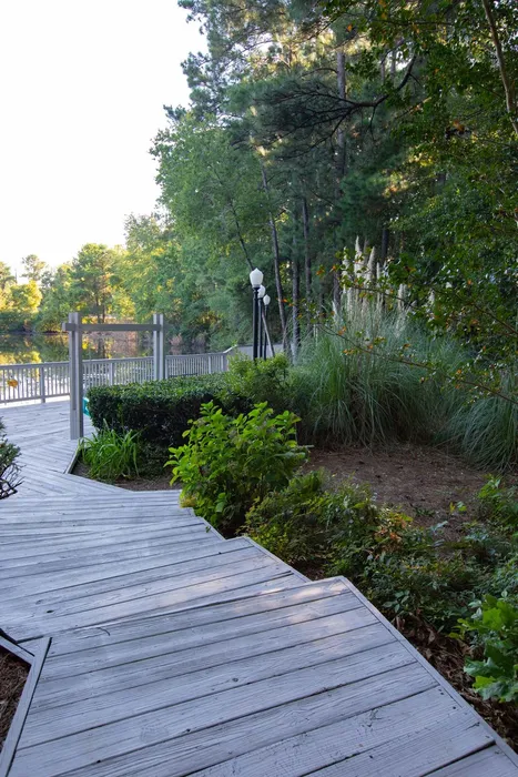 Lakeside walk with greenery and street lamps