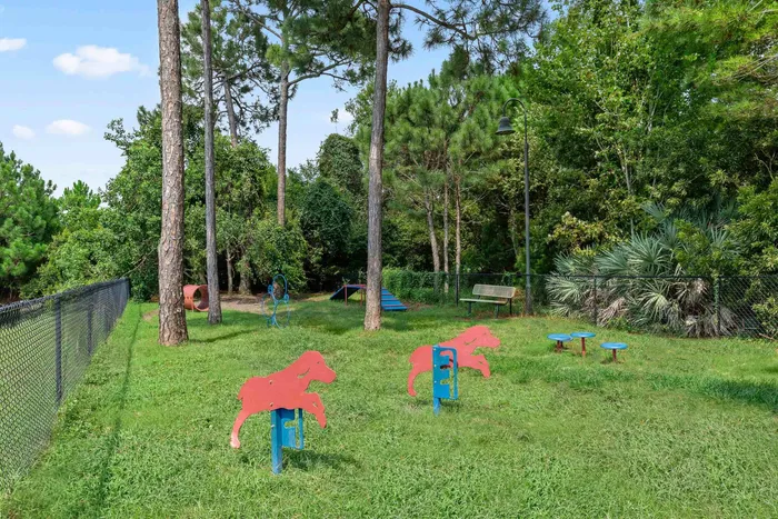 dog park