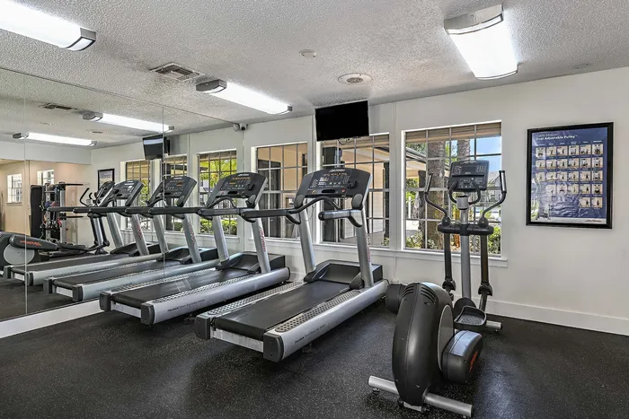 Apartments in Suntree, FL - Caribbean Isle - Fitness Center With Mounted TV, Treadmills, Elliptical Machine, Mirrored Wall, Windows, And Black Rubber Flooring.