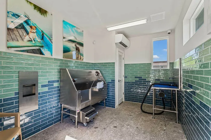 furnished pet spa with tables and washing station
