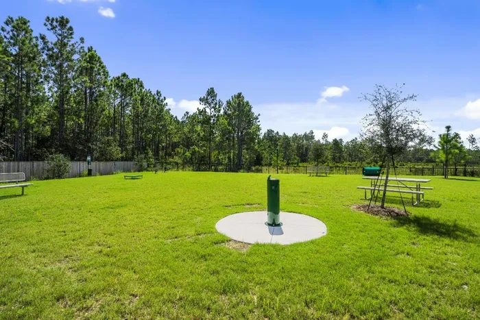 outdoor dog park with green grass in daytime