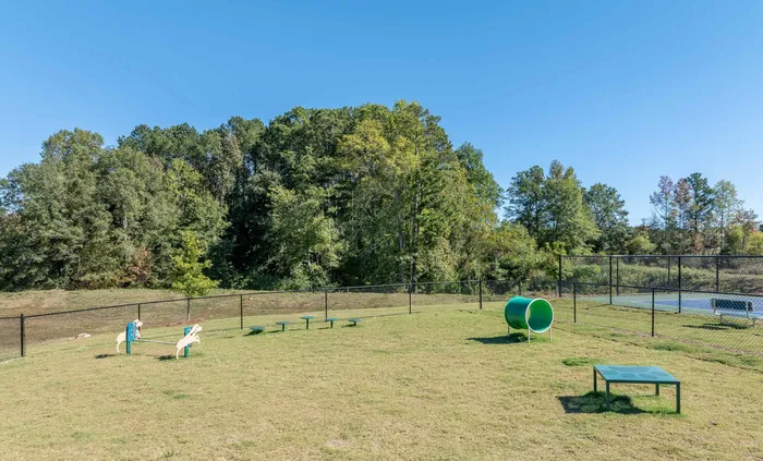 Spacious fenced dog park with agility equipment and lush green backdrop.