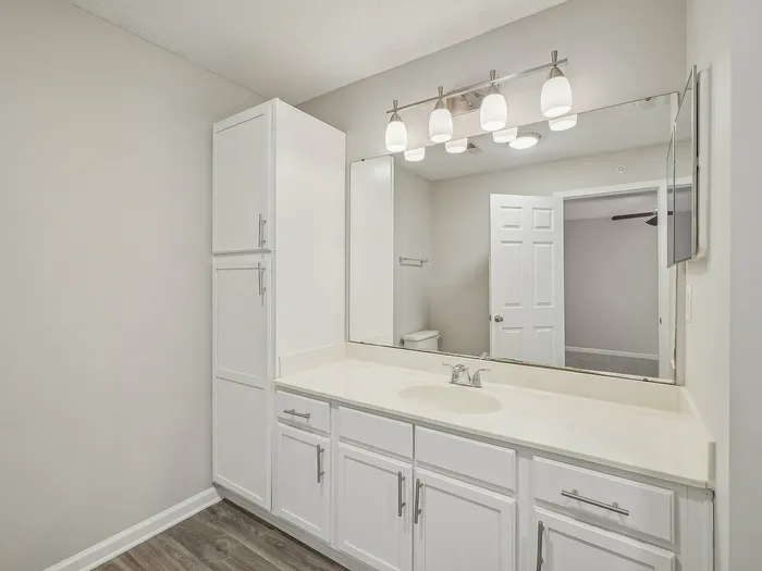Bathroom with linen closet and large vanity