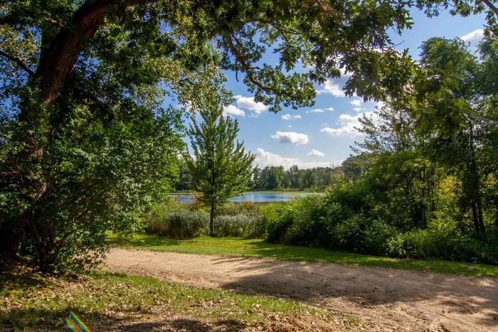 View of a lake in the distance with trees and a dirt path in the foreground