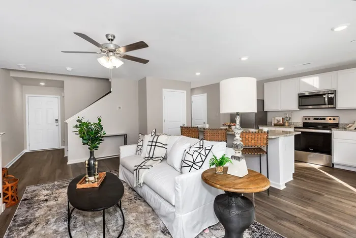 Living room and kitchen