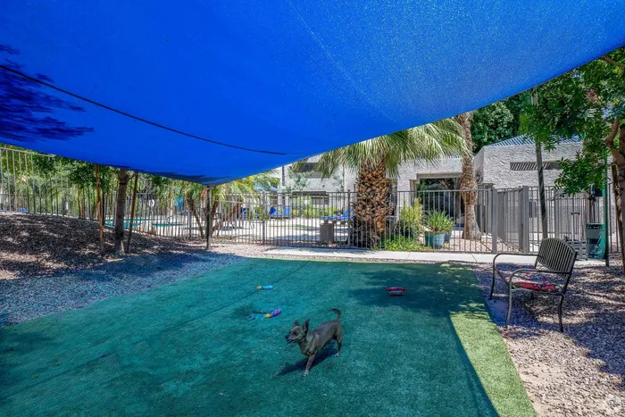 shaded dog park