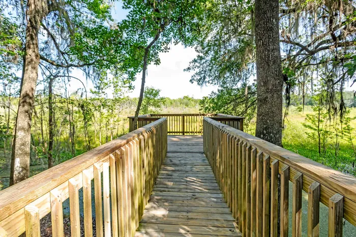 boardwalk into nature