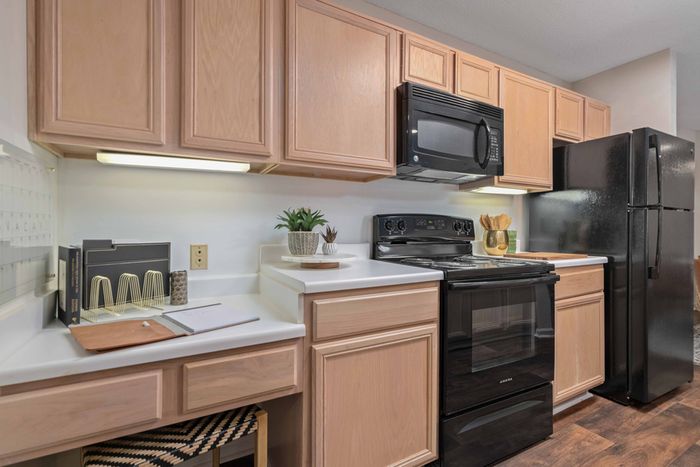 kitchen with black appliances